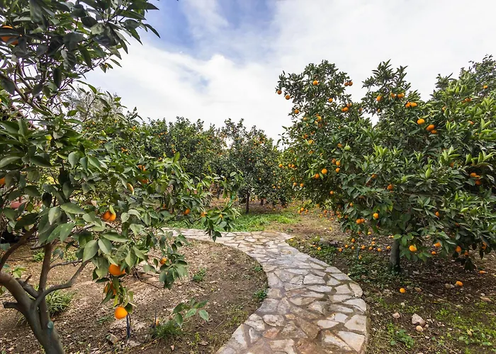 House Dilek Cirali Antalya Κεμέρ