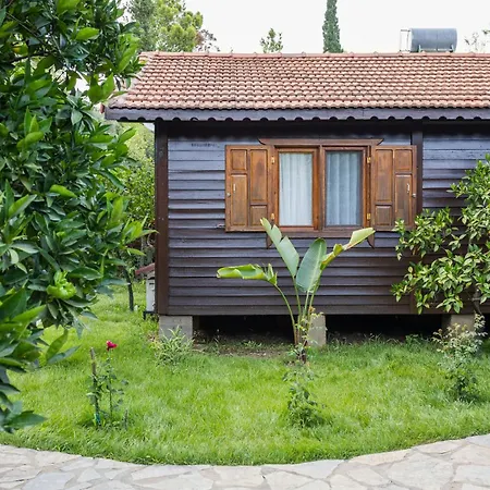 House Dilek Cirali Antalya Villa