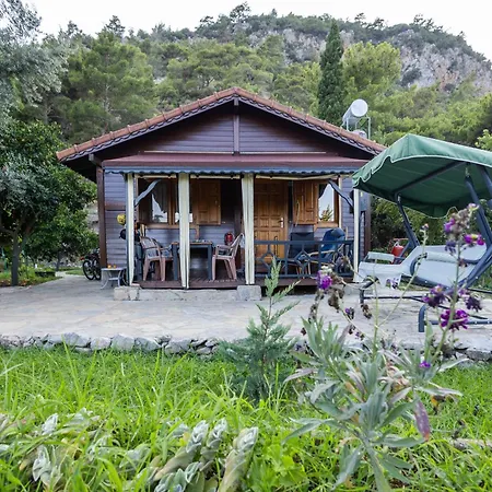 Villa House Dilek Cirali Antalya *