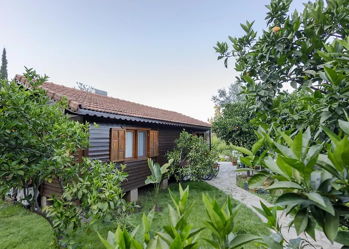 Villa House Dilek Cirali Antalya