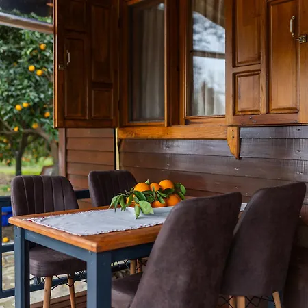 Dilek House Cirali Antalya Villa