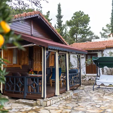 Villa Dilek House Cirali Antalya