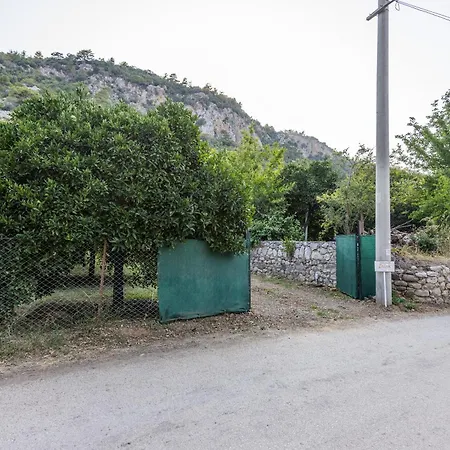 House Dilek Cirali Antalya