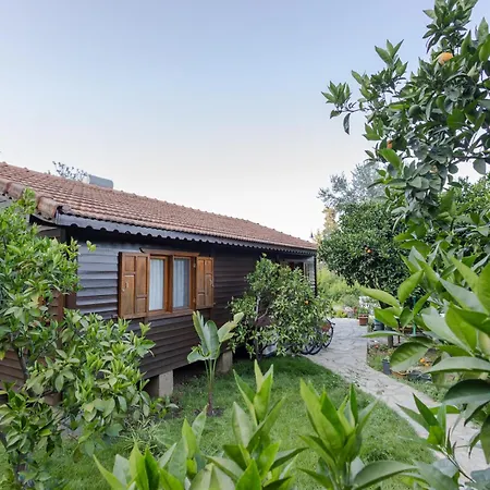 Villa House Dilek Cirali Antalya
