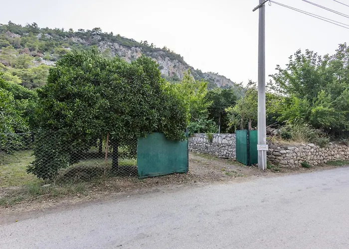 House Dilek Cirali Antalya