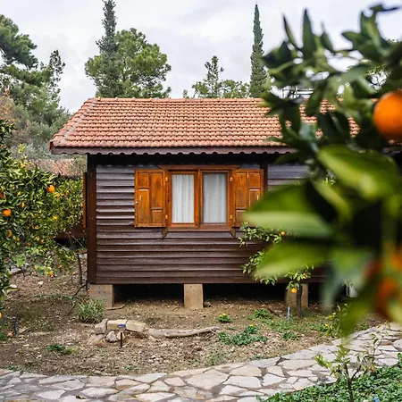 House Dilek Cirali Antalya Вилла *