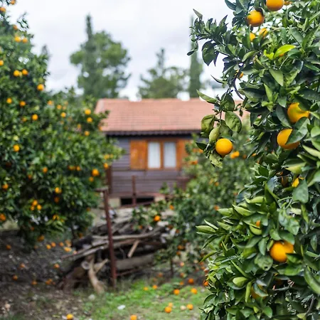 Вилла House Dilek Cirali Antalya