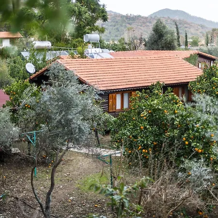 House Dilek Cirali Antalya * Кемер