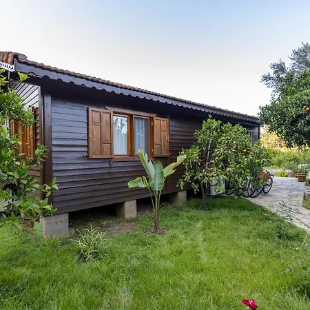 Вилла House Dilek Cirali Antalya Кемер