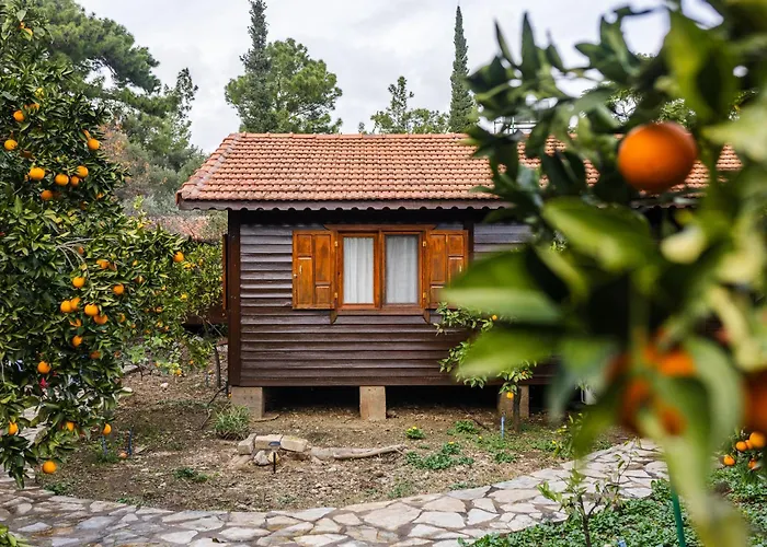 House Dilek Cirali Antalya Вилла *