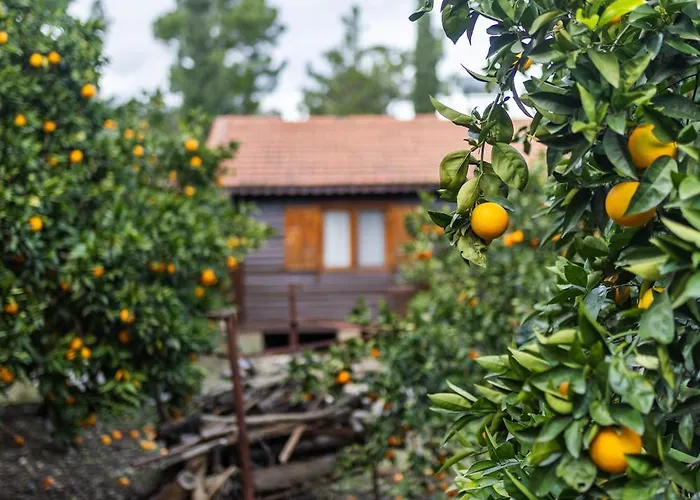 Вилла House Dilek Cirali Antalya