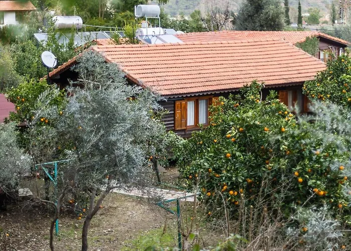 House Dilek Cirali Antalya * Кемер